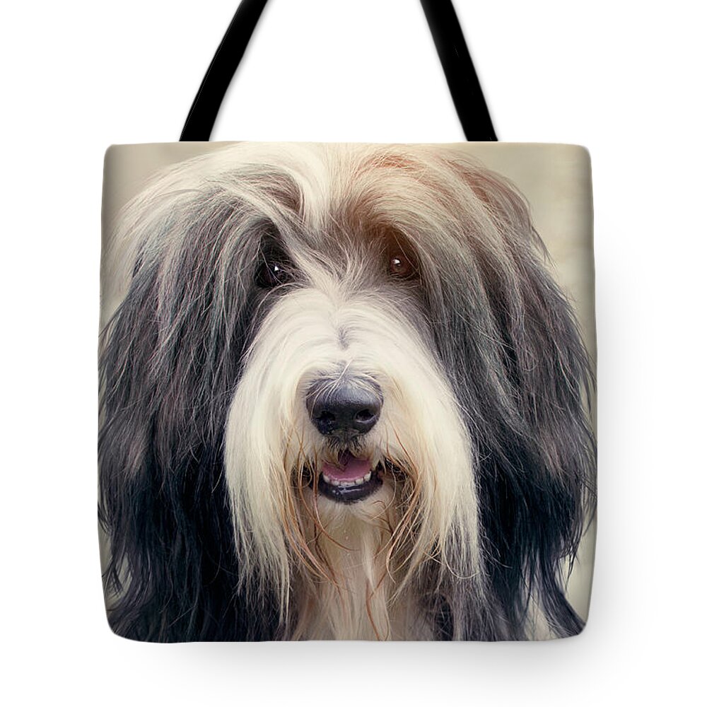 Dog Tote Bag featuring the photograph Shaggy Dog by Ethiriel Photography
