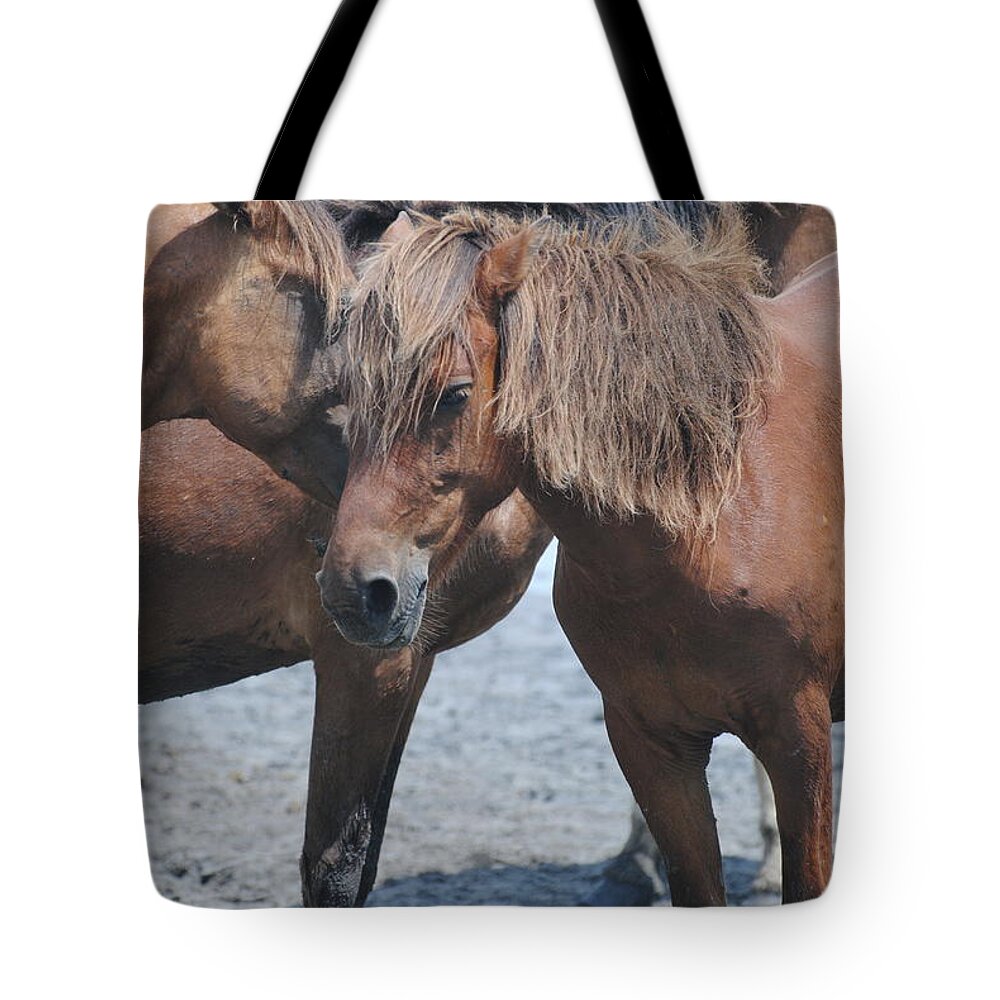 Pony Tote Bag featuring the photograph Shaggy Mane by Dan Williams