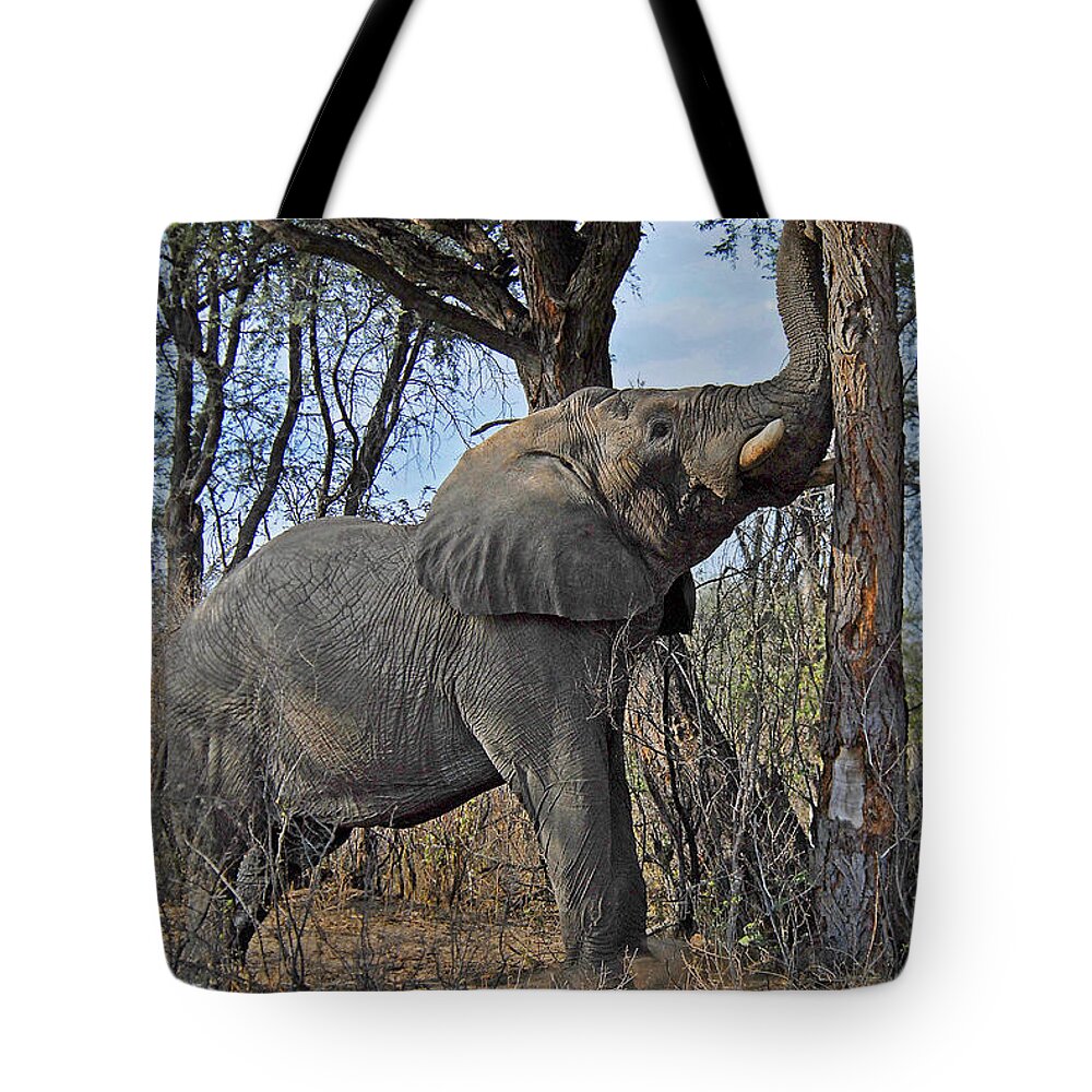 Elephant Tote Bag featuring the photograph Shake the Trees by Ted Keller