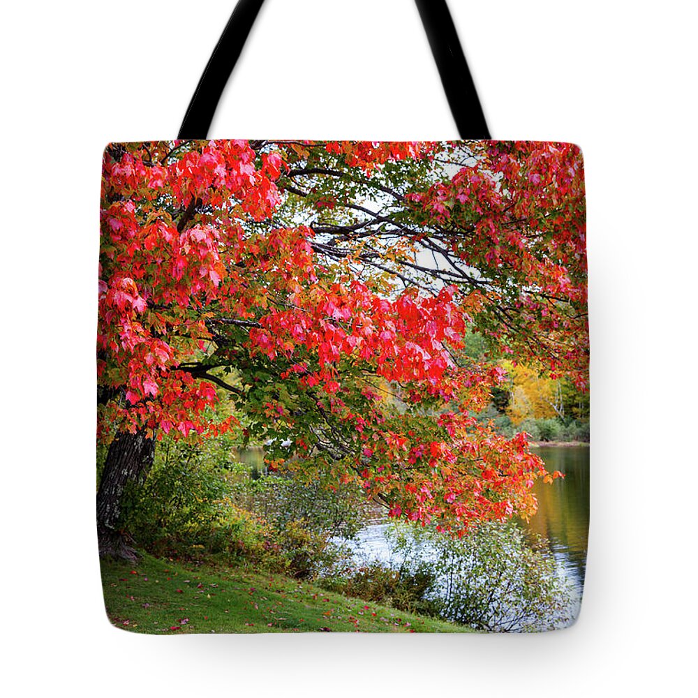 Nh Tote Bag featuring the photograph Shannon Pond by Robert Clifford