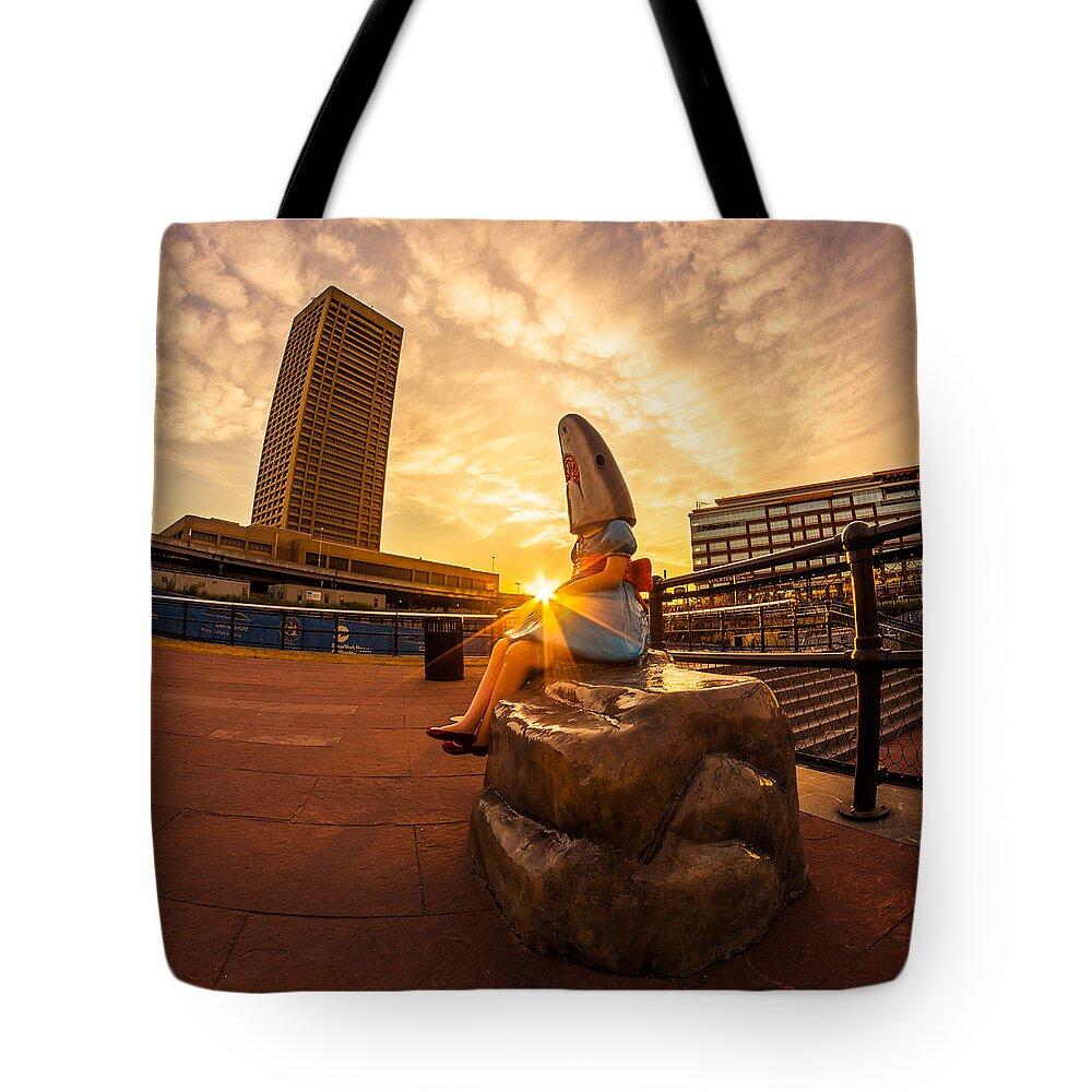 Buffalo Sunrise Tote Bag featuring the photograph Shark Girl Dawn - Square by Chris Bordeleau