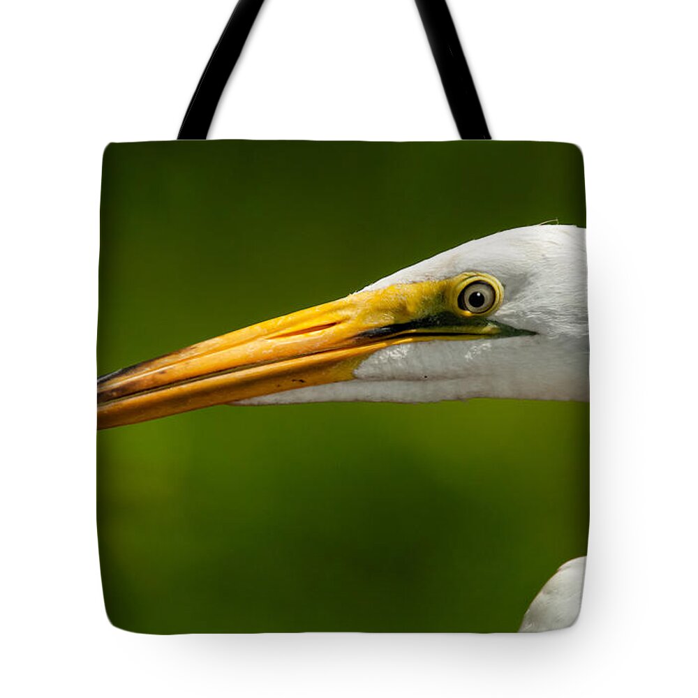Egret Tote Bag featuring the photograph Sharp Curve by Christopher Holmes