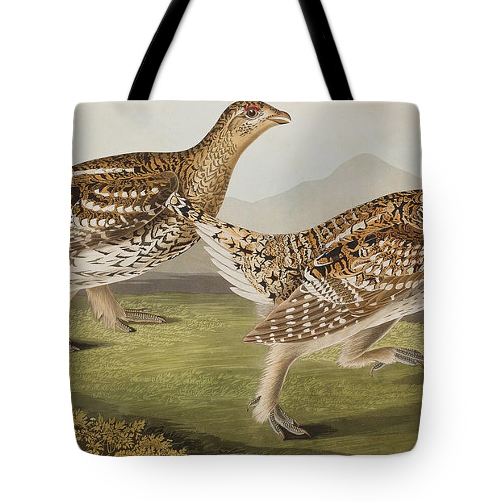 Sharp-tailed Grous Tote Bag featuring the painting Sharp Tailed Grouse by John James Audubon