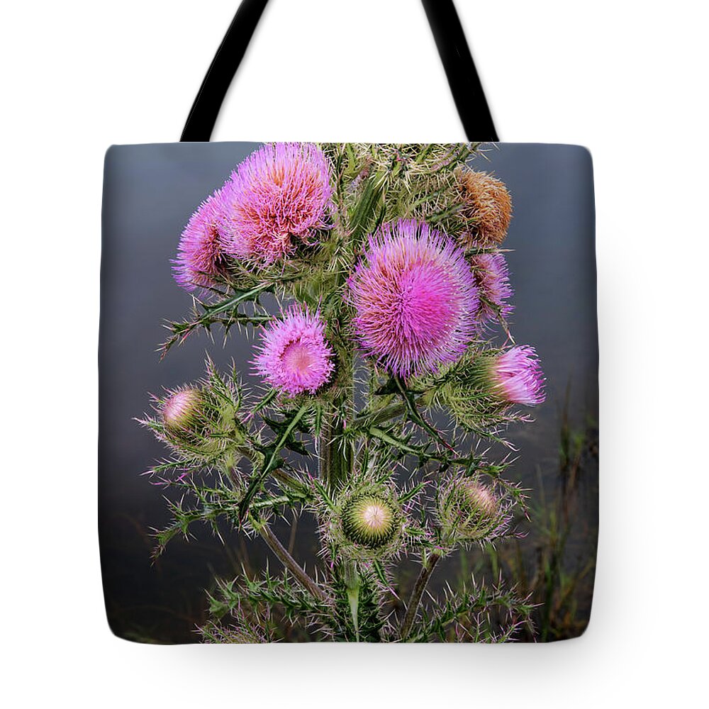 Nature Tote Bag featuring the photograph Sharp Thistle by Arthur Dodd
