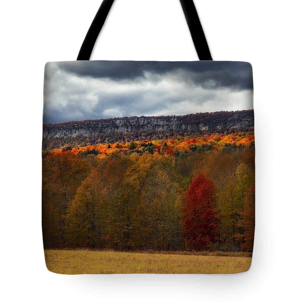Shawangunk Tote Bag featuring the photograph Shawangunk Mountains Hudson Valley NY by Susan Candelario