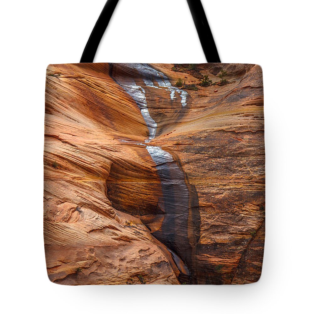 Landscape Tote Bag featuring the photograph Sheen by Laura Roberts
