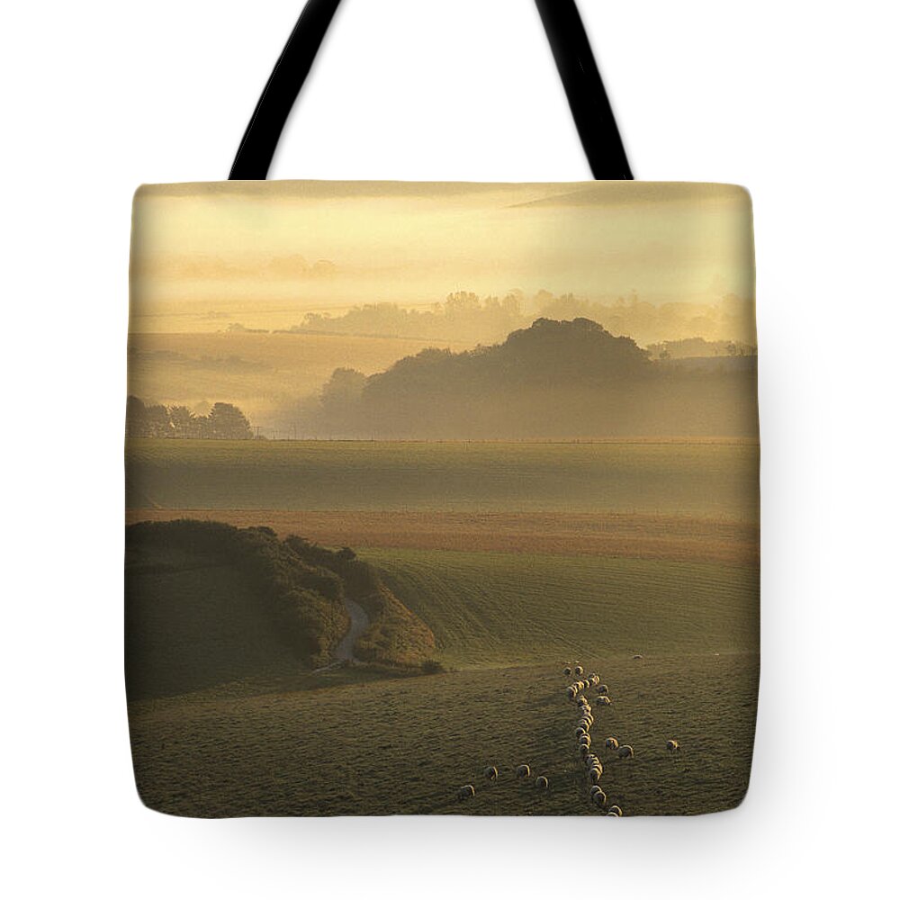 Misty Tote Bag featuring the photograph Sheep and misty South Downs by Hazy Apple