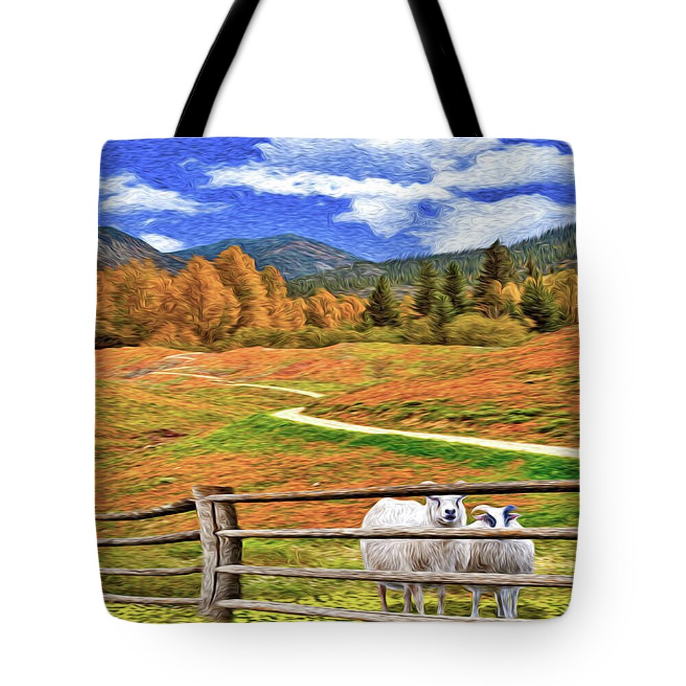 Sheep Tote Bag featuring the photograph Sheep and Road Ver 1 by Larry Mulvehill
