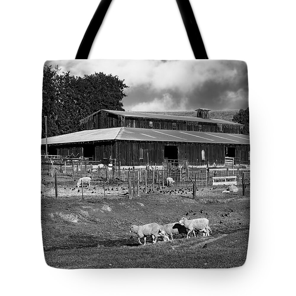 Landscape Tote Bag featuring the photograph Sheep Barn B/W by Bruce Bottomley