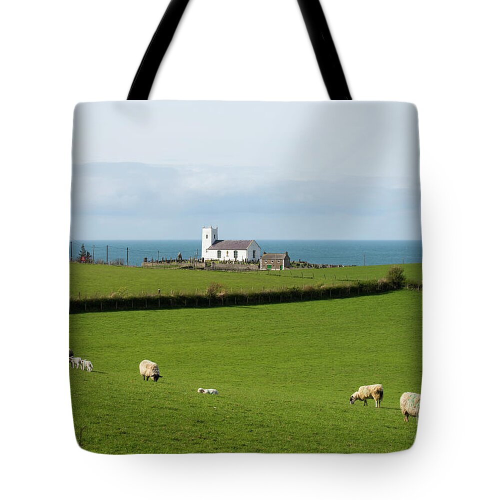 Ballintoy Tote Bag featuring the photograph Sheep Grazing on Irish Coastline by Juli Scalzi