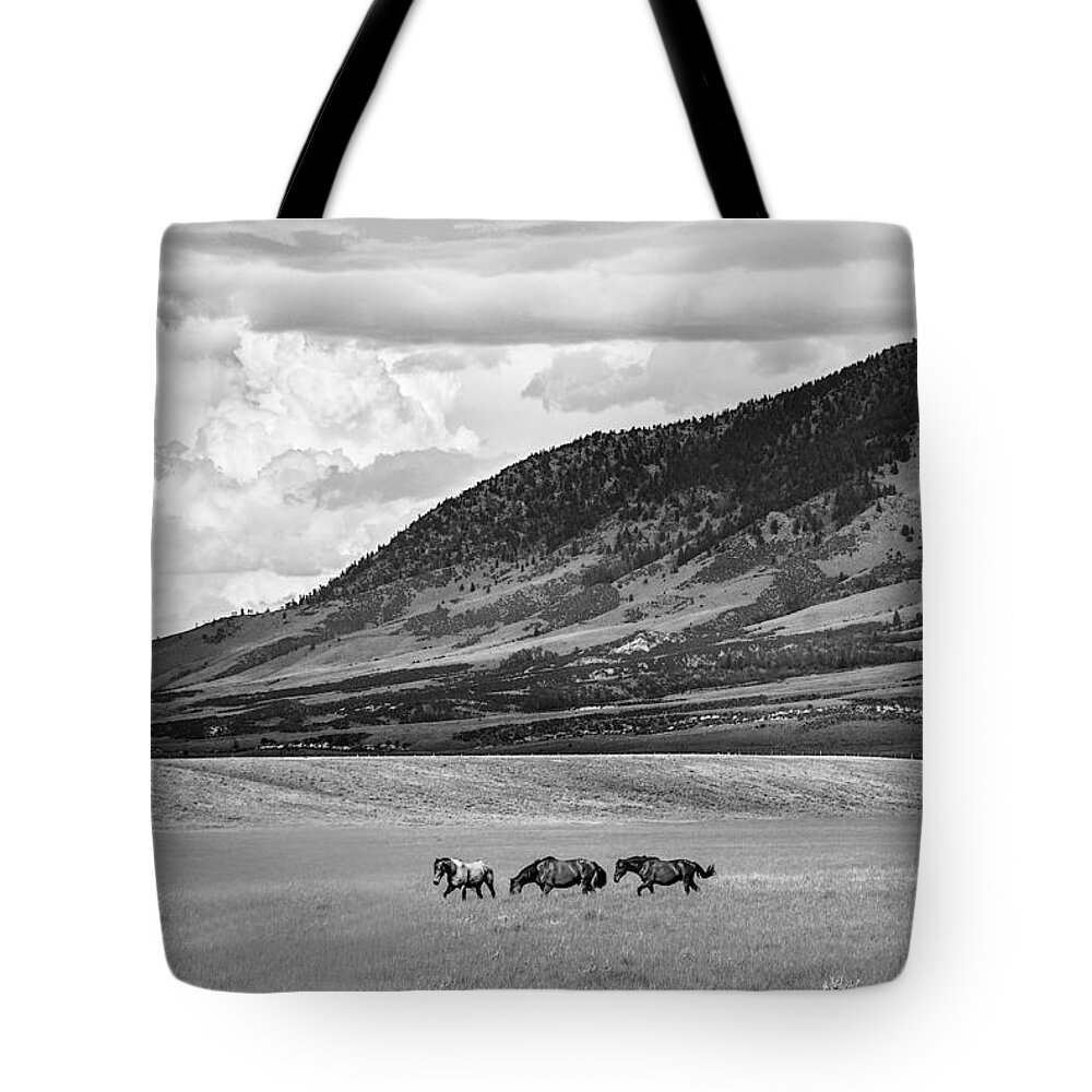 Black And White Tote Bag featuring the photograph Sheep Mountain Gang by Jolynn Reed