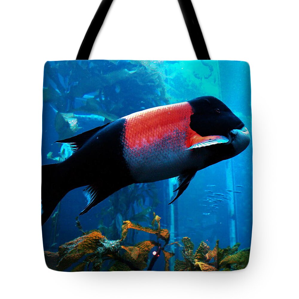 Monterey Tote Bag featuring the photograph Sheep's Head by Richard Thomas