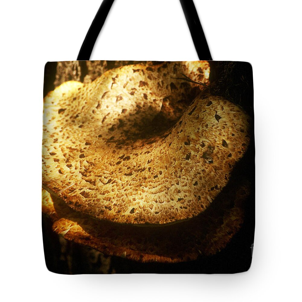 Background Tote Bag featuring the photograph Shelf Mold by Alan Look