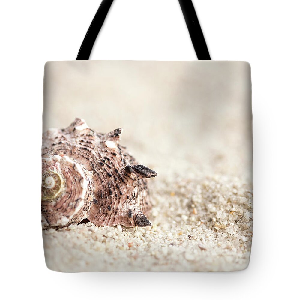 Shell Tote Bag featuring the photograph Shell And Sand by MindGourmet