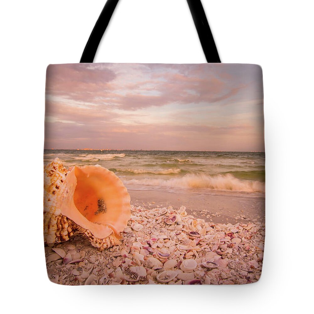 Shells Tote Bag featuring the photograph Shell Paradise by George Kenhan