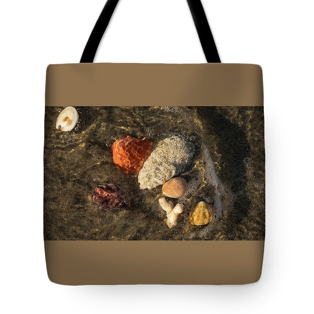 Florida Tote Bag featuring the photograph Shell Wave 4 Delray Beach Florida by Lawrence S Richardson Jr