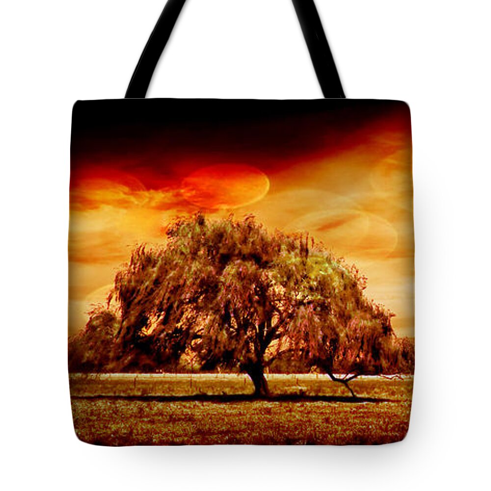 Tree Tote Bag featuring the photograph Shelter by Az Jackson