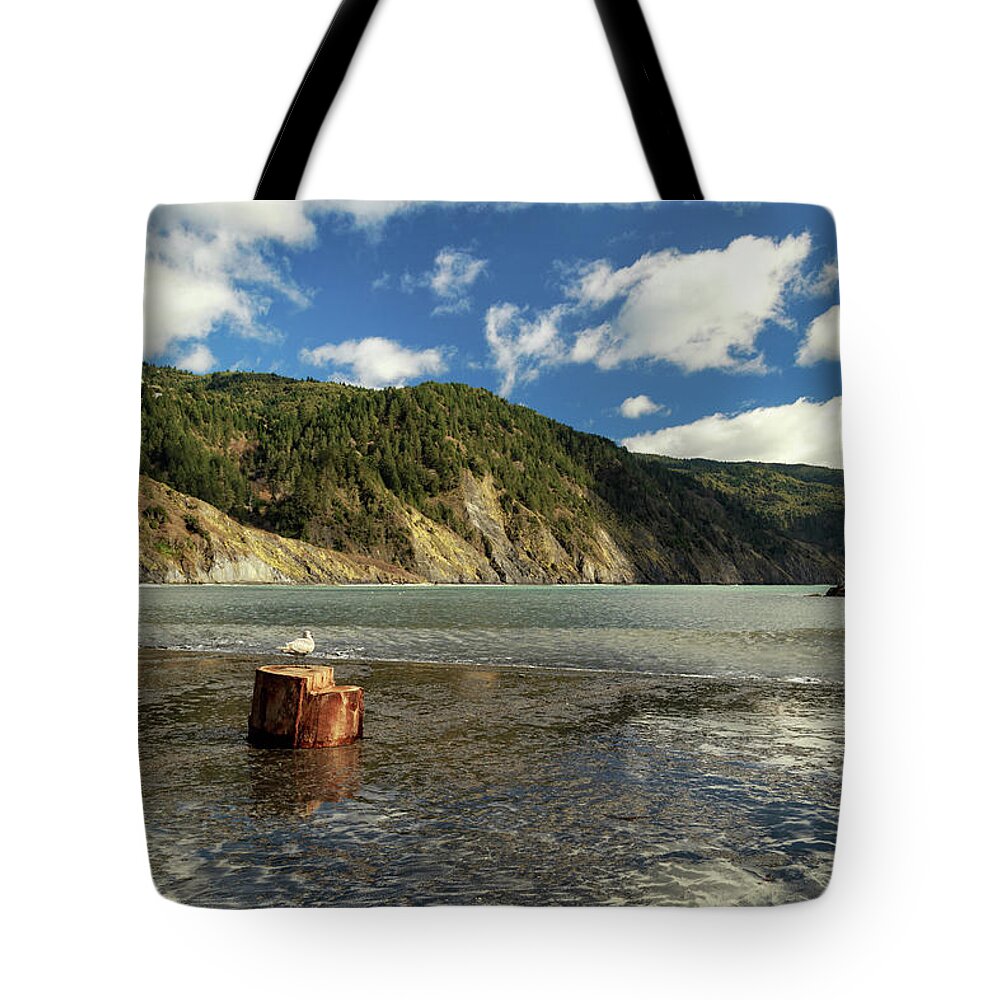 Shelter Cove Tote Bag featuring the photograph Shelter Cove by James Eddy