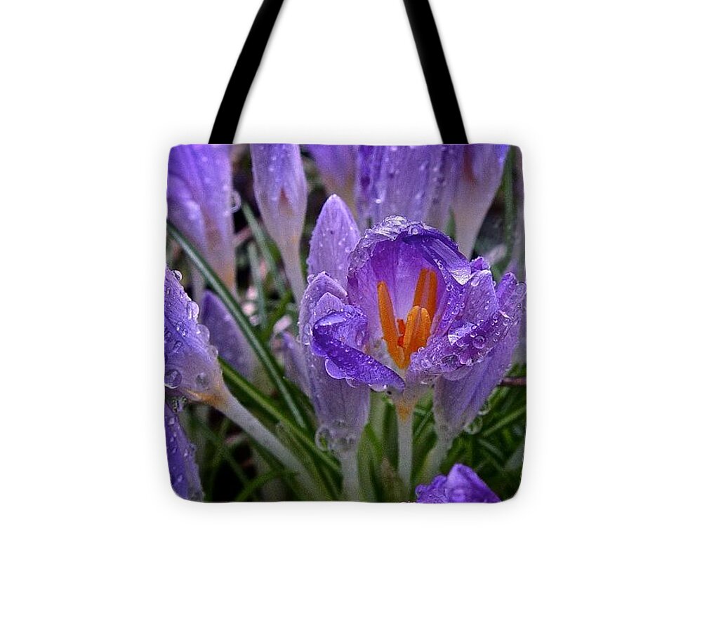 Crocus Tote Bag featuring the photograph Shelter from the Storm 2016 by Richard Cummings