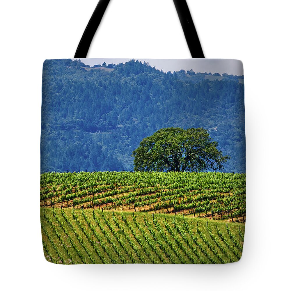 Shepherd Tote Bag featuring the photograph Shepherd by Skip Hunt
