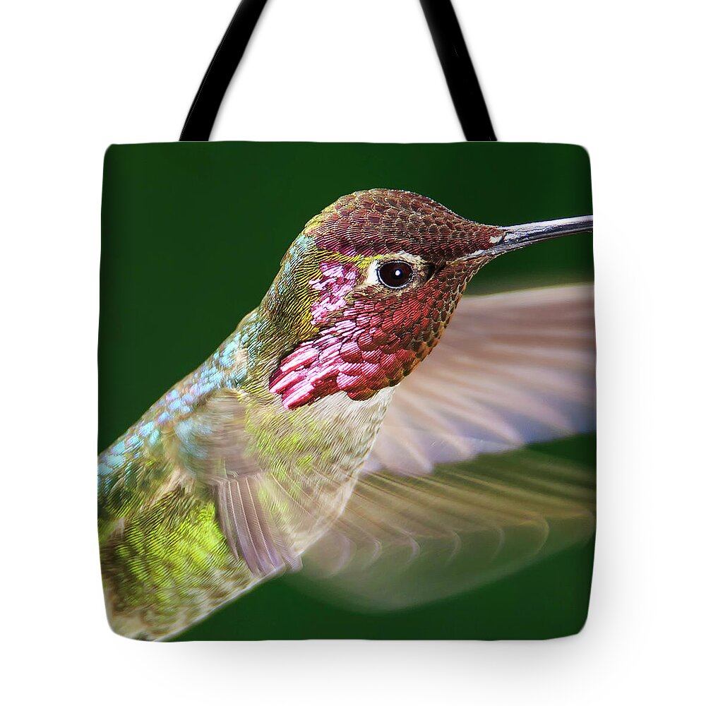 Bird Tote Bag featuring the photograph Shimmer by Briand Sanderson