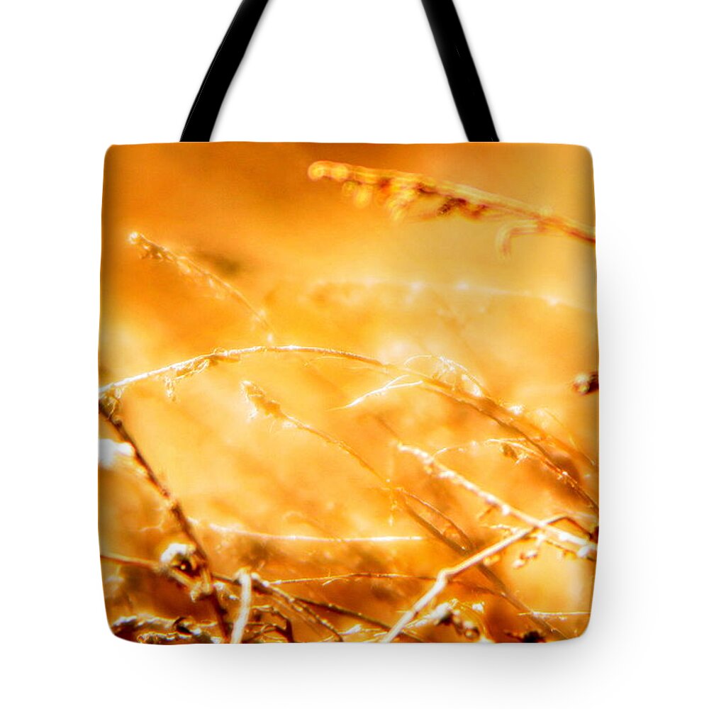 Grass Tote Bag featuring the photograph Shimmer by Julie Lueders 