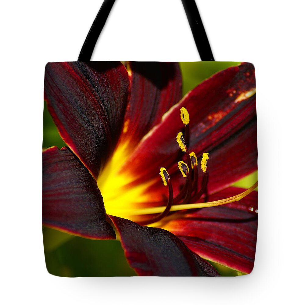 Nature Tote Bag featuring the photograph Shine from Within by Ben Upham III