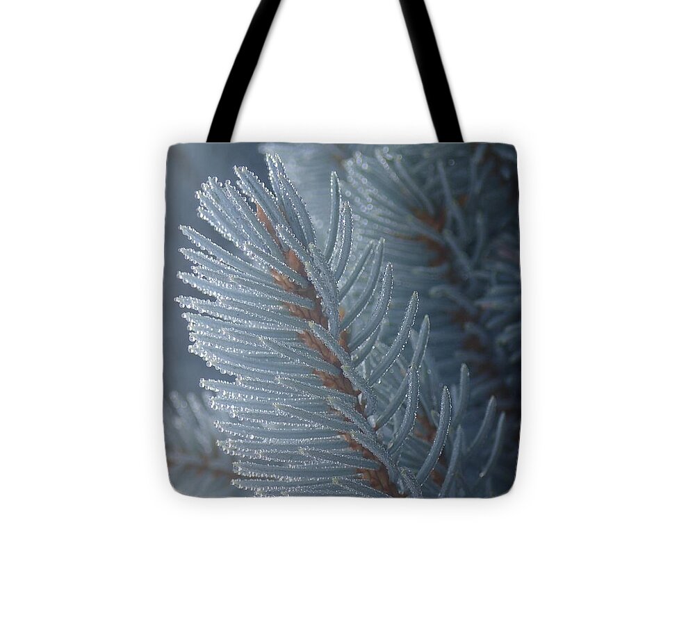 Color Tote Bag featuring the photograph Shine On by Christina Verdgeline