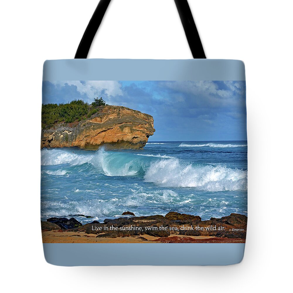 Ocean Tote Bag featuring the photograph Shipwreck Beach Shorebreaks 2 by Marie Hicks