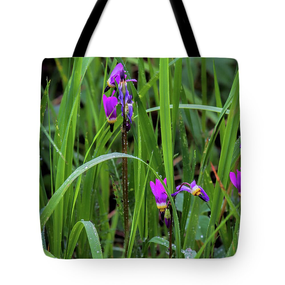 Wild Flowers Tote Bag featuring the photograph Shooting Stars by Jim Garrison