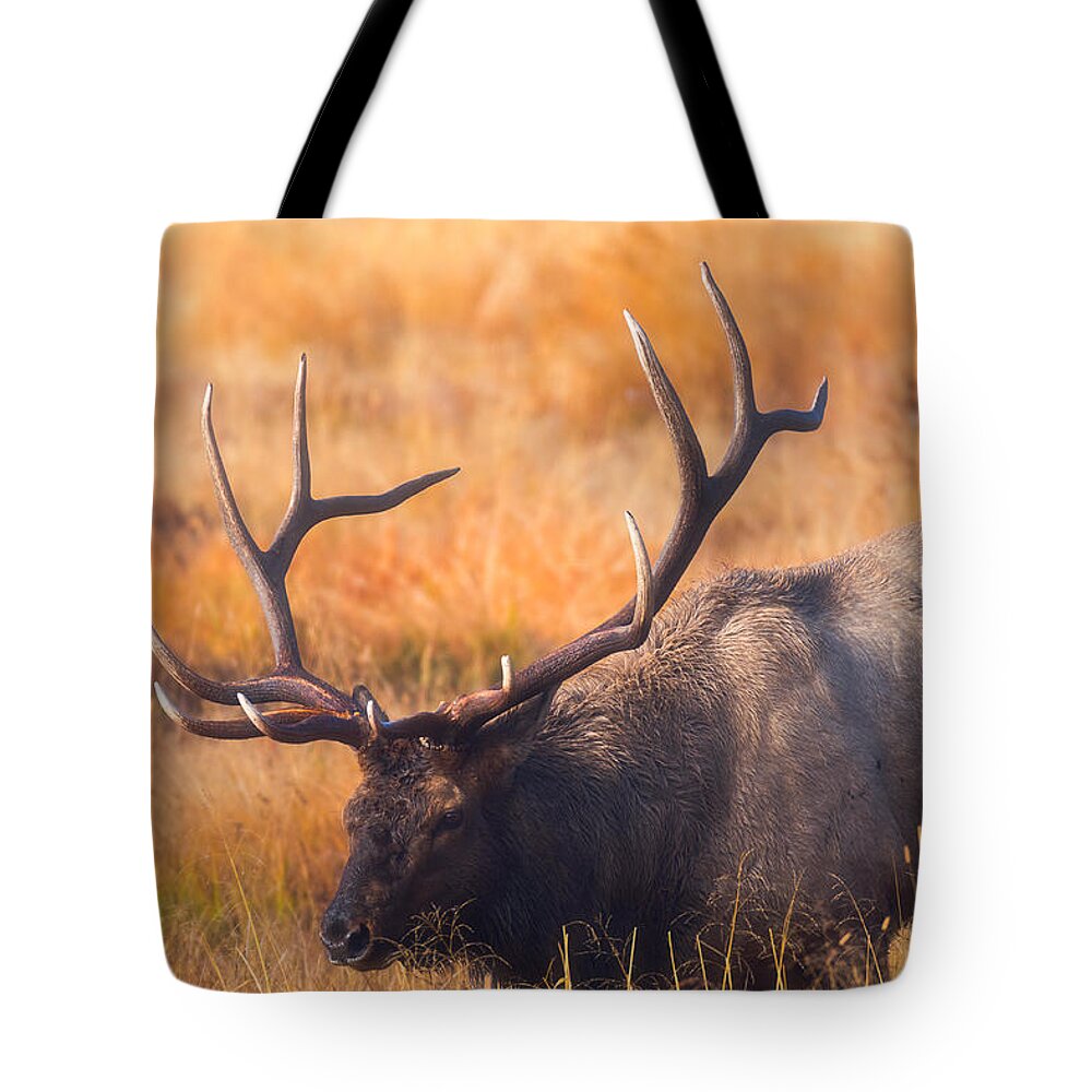 Darren White Tote Bag featuring the photograph Shooting the Bull by Darren White