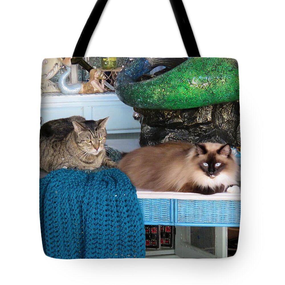 Cat Tote Bag featuring the photograph Shop Cats by Keith Stokes