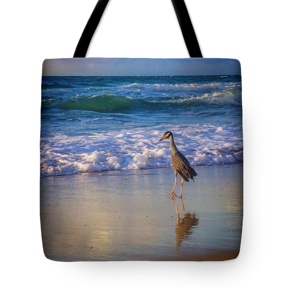 Bird Tote Bag featuring the photograph Shorebird by Debra and Dave Vanderlaan