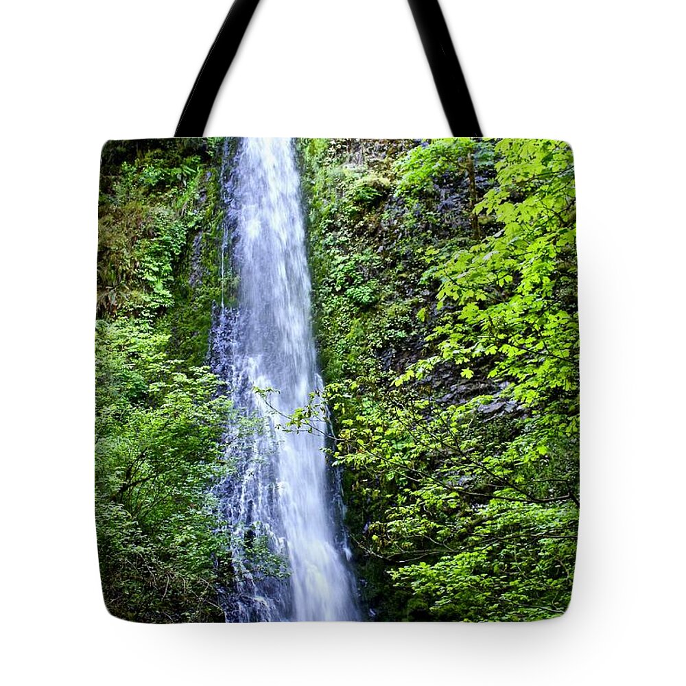 Waterfall Tote Bag featuring the photograph Shot Gun Falls by Brian Eberly