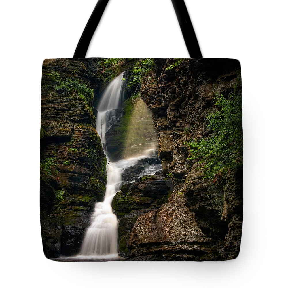 Waterfalls Tote Bag featuring the photograph Shower of Eden by Neil Shapiro
