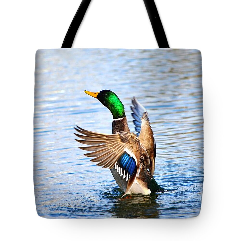 Mallard Tote Bag featuring the photograph Showing Off by Cindy Schneider