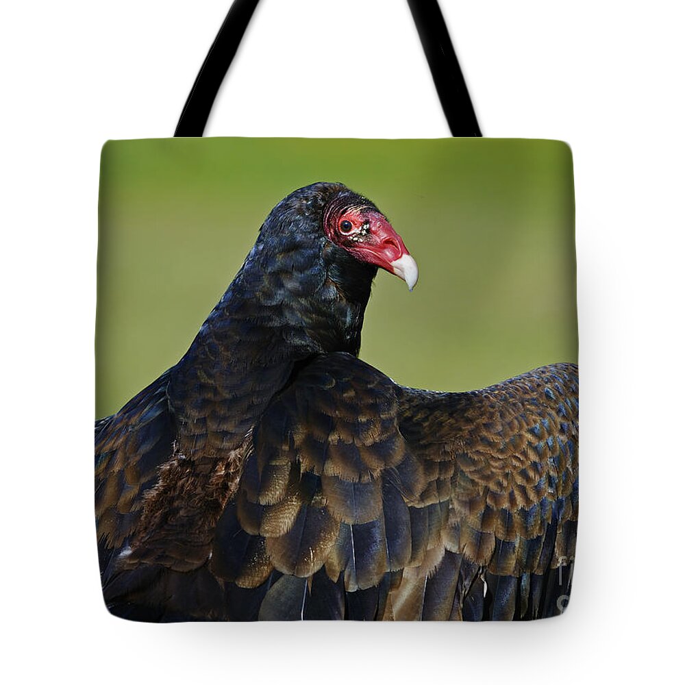 Parc Omega Tote Bag featuring the photograph Showing off her Wings..... by Nina Stavlund
