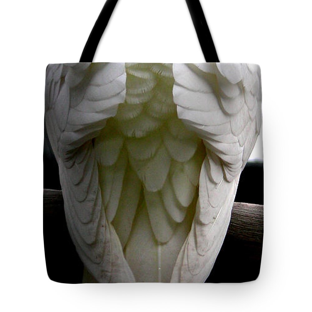 Nature Tote Bag featuring the digital art Shy Birdie by Jean Wolfrum
