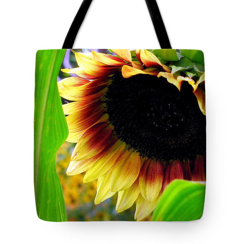 Sun Flower Tote Bag featuring the photograph Shy by Deborah Crew-Johnson