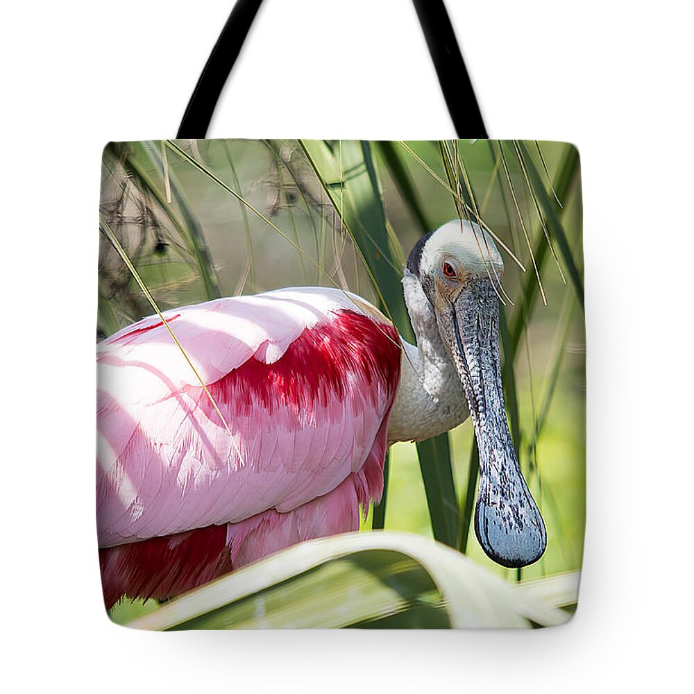 Wildlife Tote Bag featuring the photograph Shy Guy by Kenneth Albin