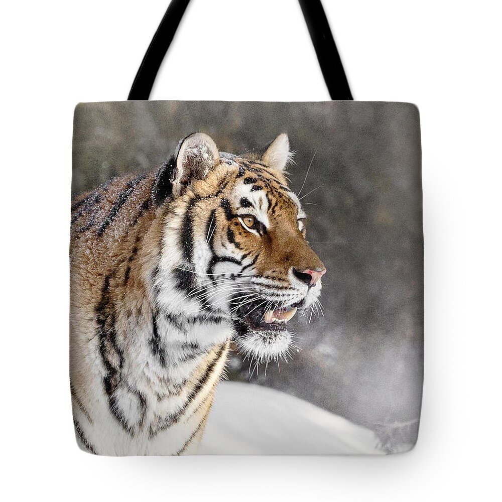 Siberian Winter Tote Bag featuring the photograph Siberian Winter by Wes and Dotty Weber