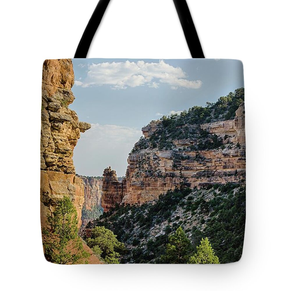 Rocks Tote Bag featuring the photograph Side canyon view by Gaelyn Olmsted