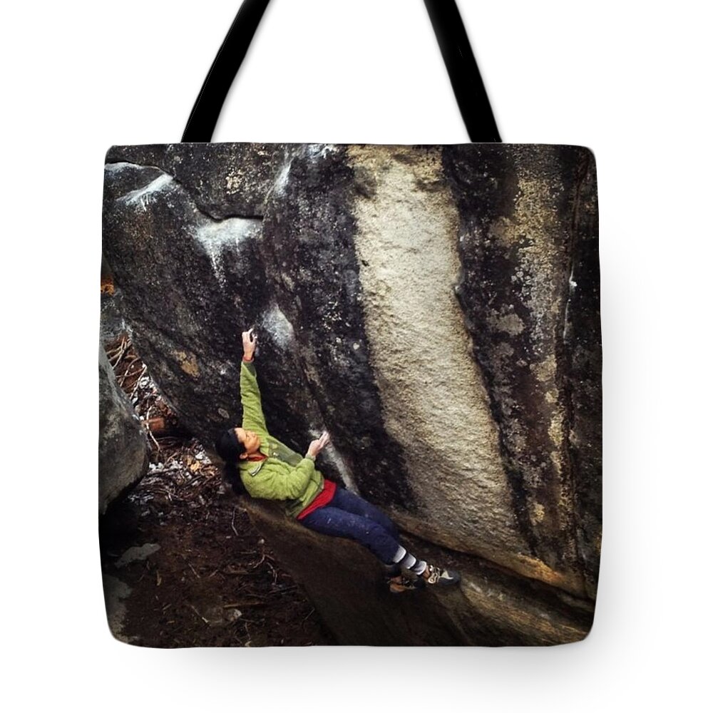 Cute Tote Bag featuring the photograph Silver Wolf by Noah Kaufman