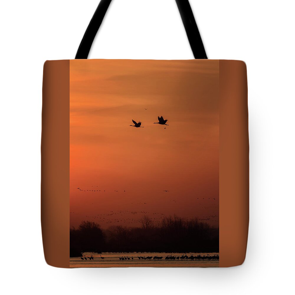 Sandhill Cranes Tote Bag featuring the photograph Sienna Skies #3 by Susan Rissi Tregoning