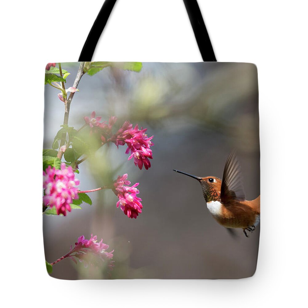 Rufous Hummingbird Tote Bag featuring the photograph Sign Of Spring 3 by Randy Hall