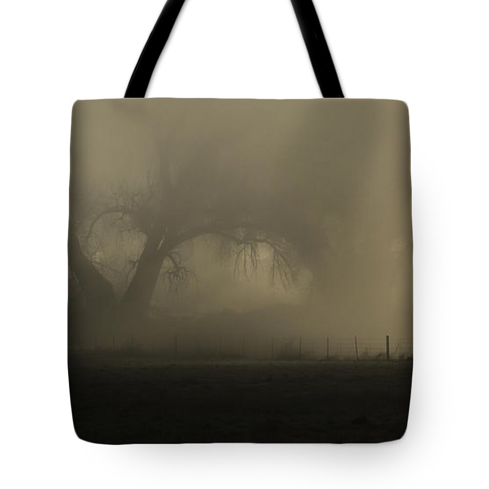 Mists-tree-cty- Silence Speaks In Mistsroad-2014_01_579 - Images Of Rae Ann M. Garrett Tote Bag featuring the photograph Silence Speaks in Mists-2 by Rae Ann M Garrett