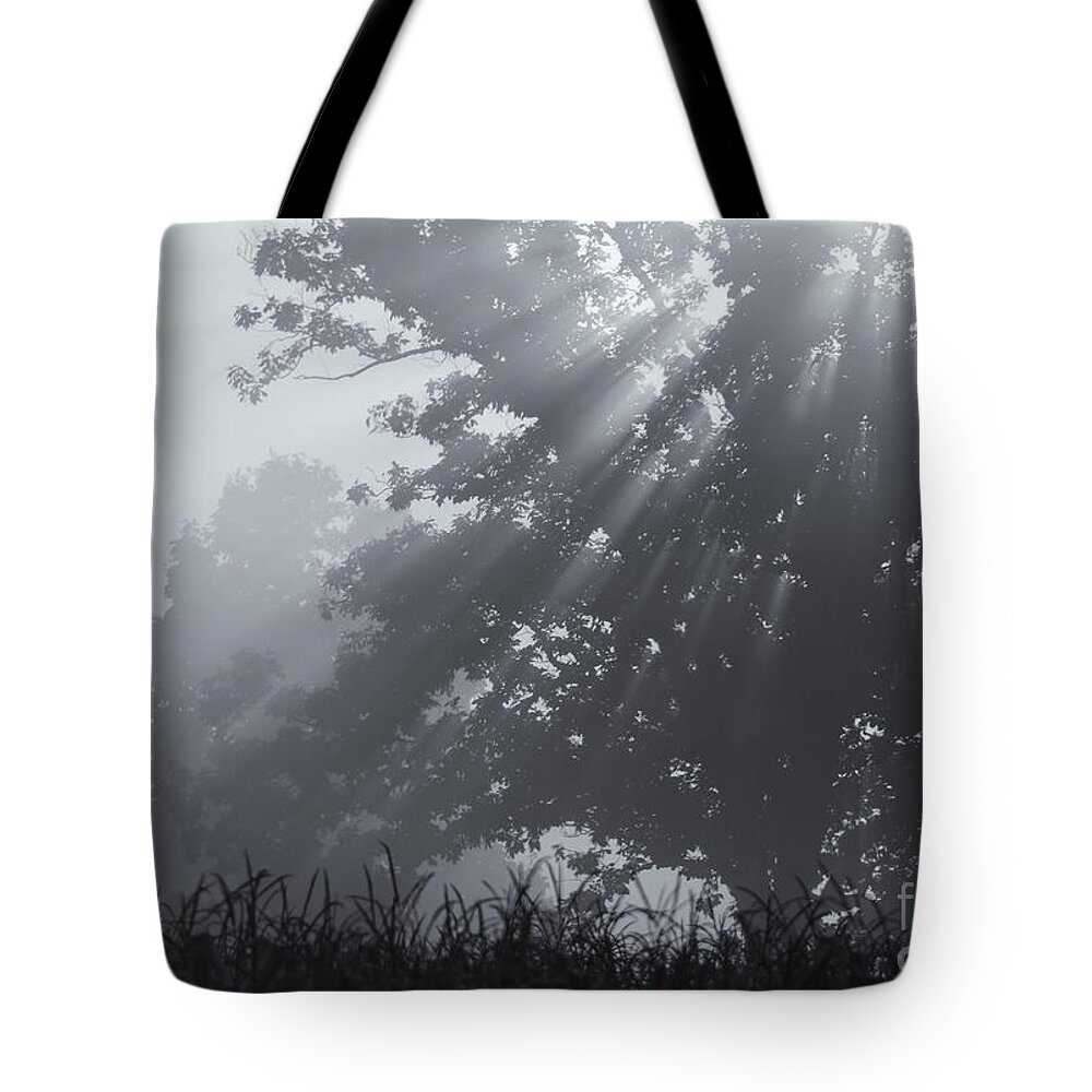 Silent Blessings Tote Bag featuring the photograph Silent Blessings by Rachel Cohen