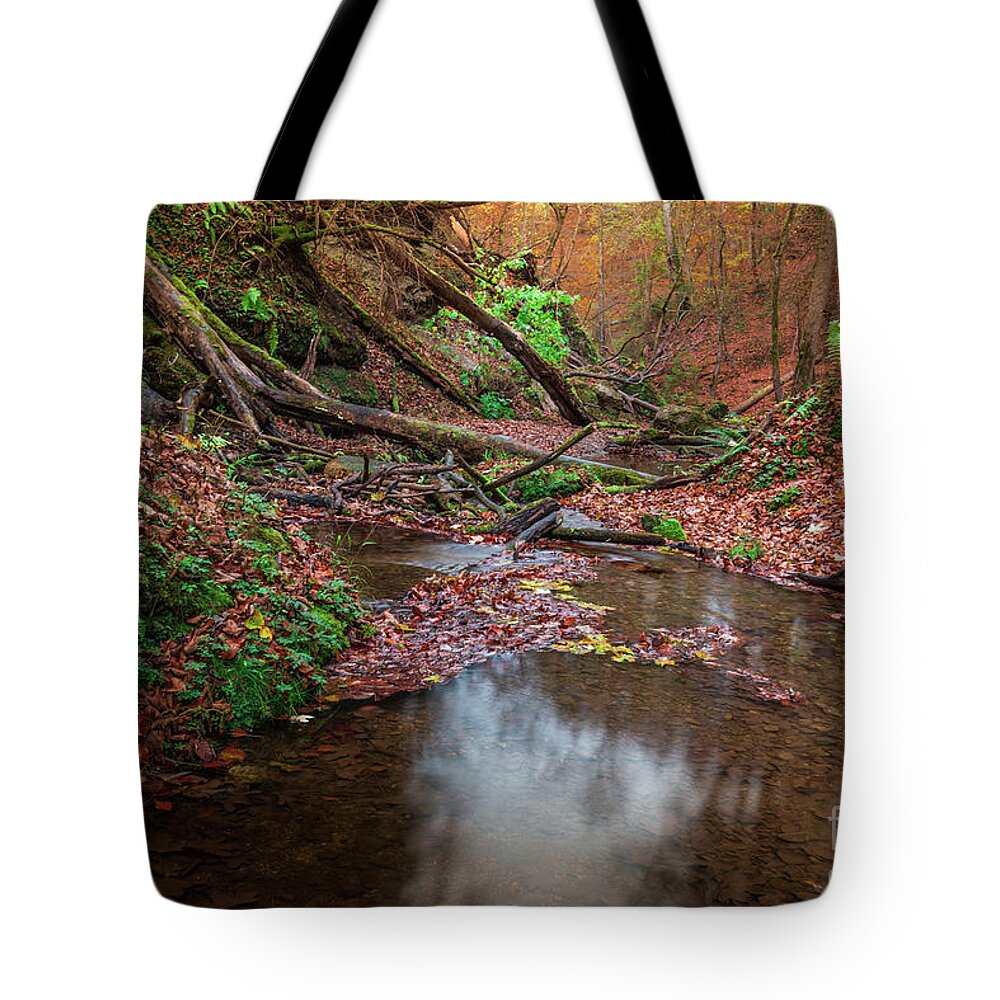Autumn Tote Bag featuring the photograph Silent Glowing Fall by Hannes Cmarits