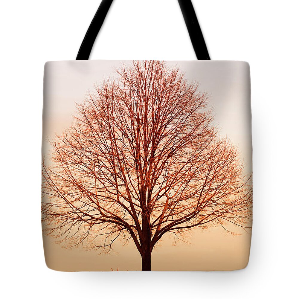 Tree Tote Bag featuring the photograph Silent Hill by Iryna Goodall