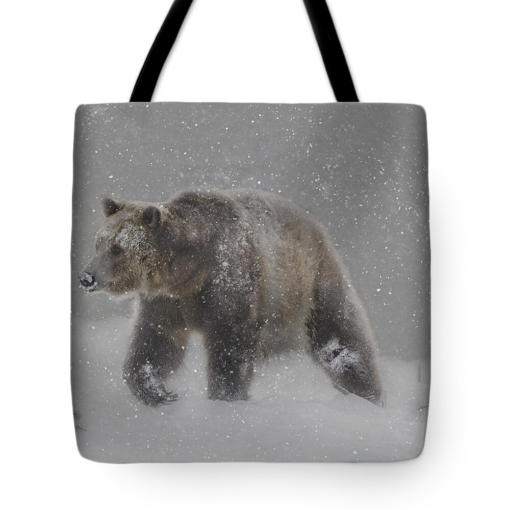 Bear Tote Bag featuring the photograph Silent Night by Peg Runyan